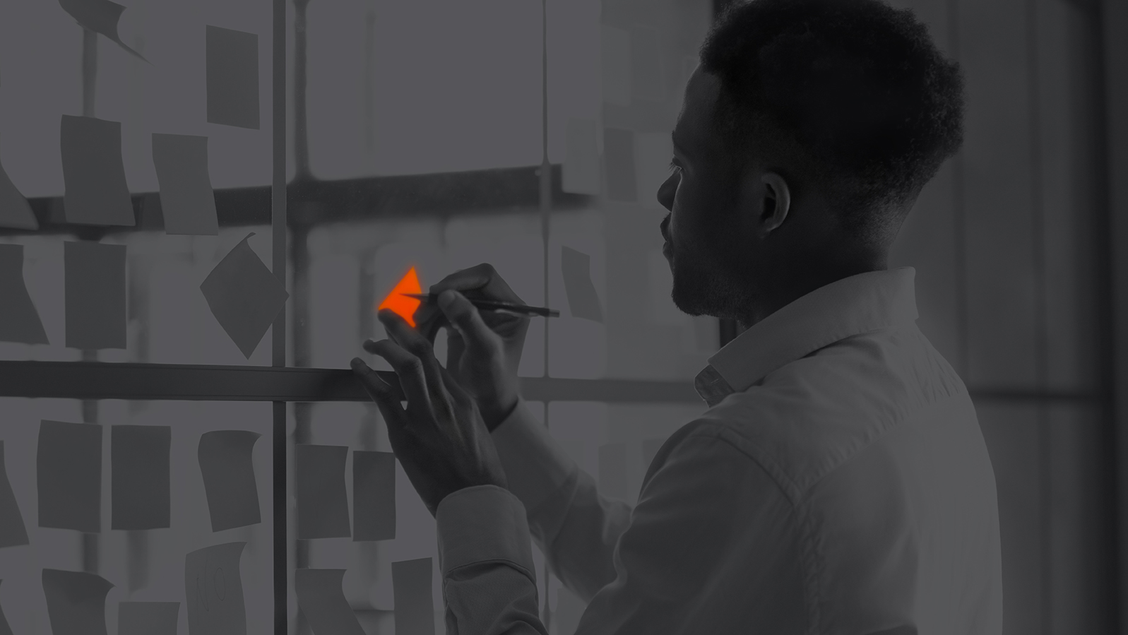 Procuram-se resolvedores e simplificadores